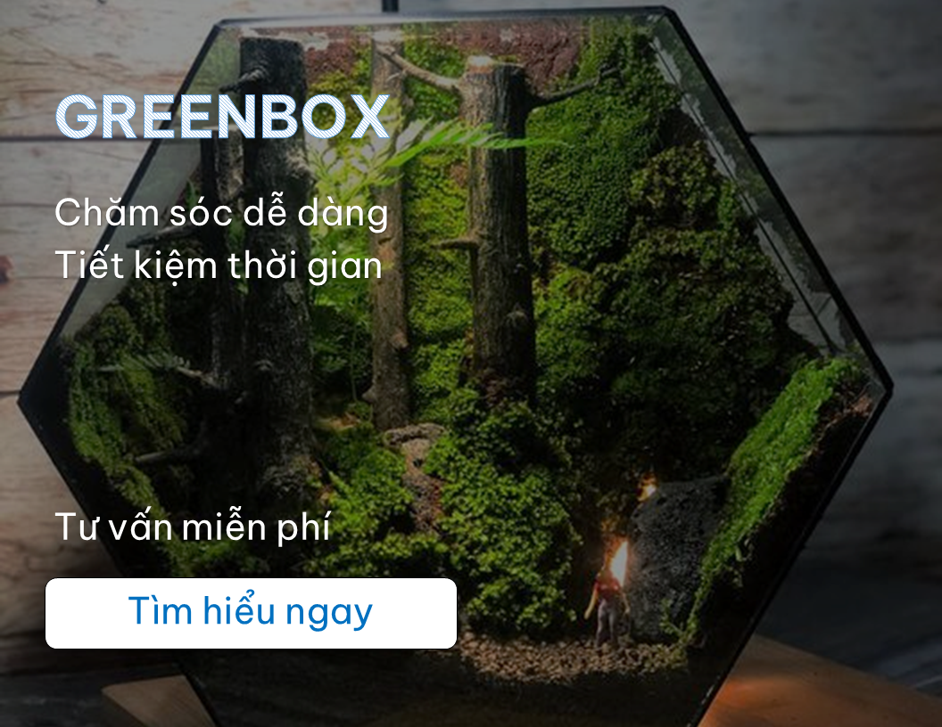 Greenbox 3